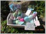 DSCN4375.JPG