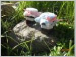 DSCN4635.JPG