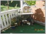 DSCN4663.JPG