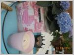 DSCN0423.JPG